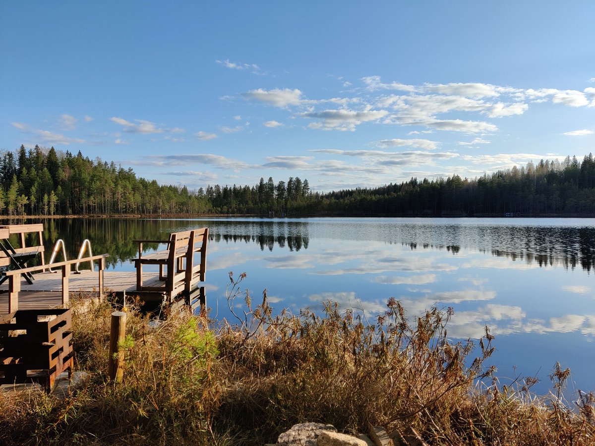 Miina Salmenharju tweet media