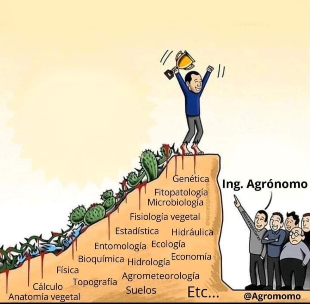 flavierft90638's tweet photo. Feliz día del Ingeniero Agrónomo a todos los que optamos por esta hermosa profesión 🎋🌾💫💯 https://t.co/RrgySrLhnR