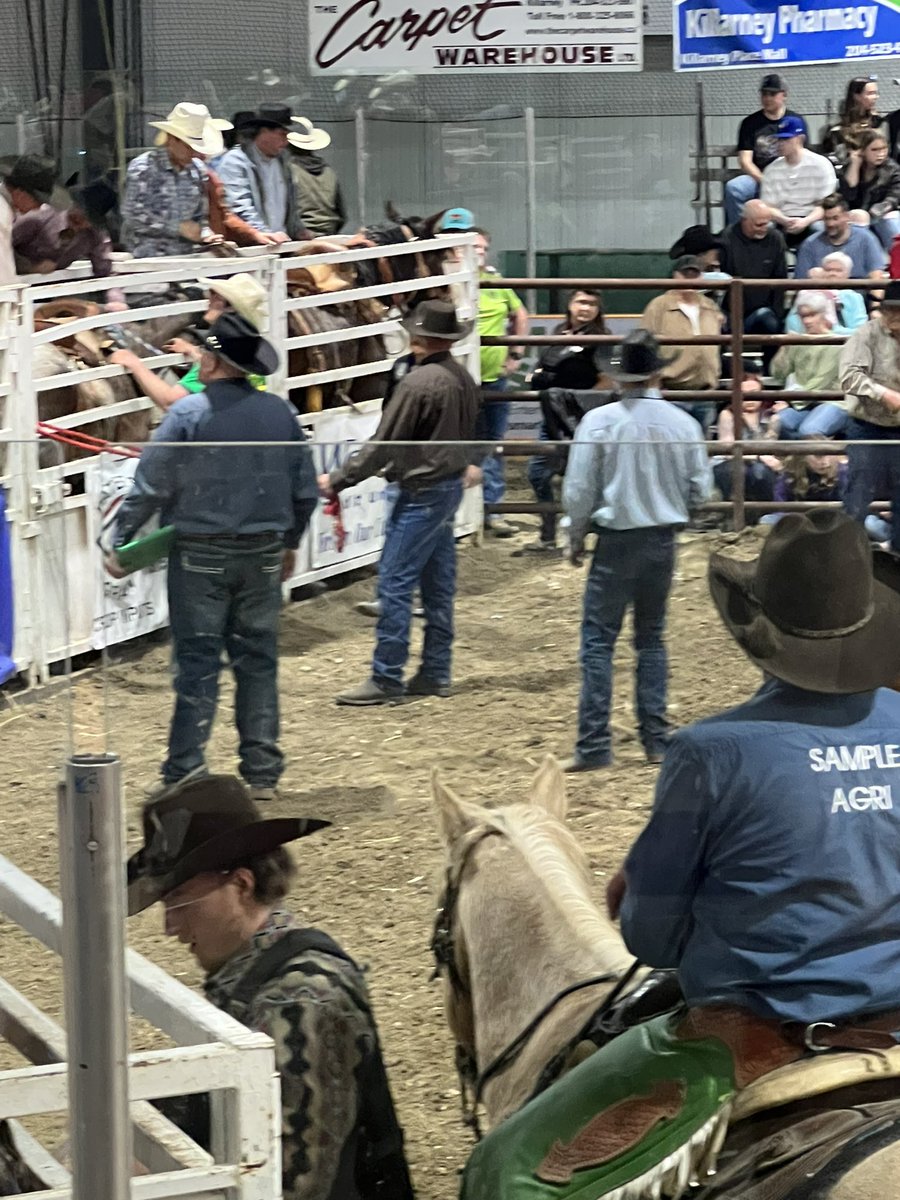 Shout out to all the organizers and volunteers of the indoor bull riding that took place last night in Killarney! Well done as always. Always a great time.