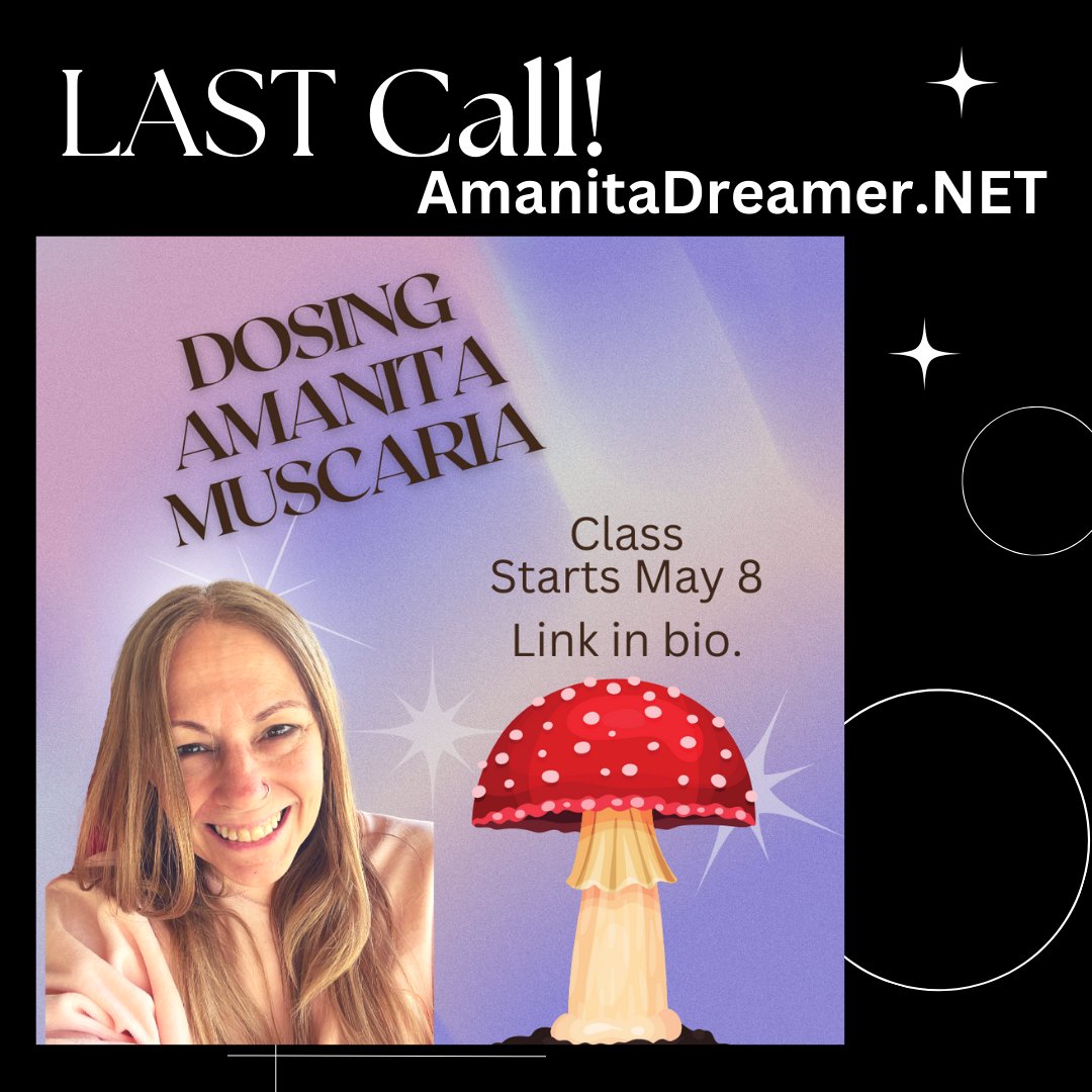 amanitadreamer.net/about-4