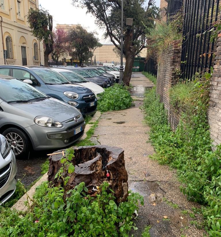 LuigiPiccarozzi's tweet photo. @GabrieleIuvina1 Immediato licenziamento per giusta causa! Anche perchè con oltre 7000 dipendenti dell’Ama, #Roma fa schifo, la #mondezza trasborda dai cassonetti e invade i marciapiedi già pieni di #cespugli, non lavano mai le strade, giardini e parchi sono abbandonati e pieni di #spazzatura! https://t.co/p0TAIeBHfJ