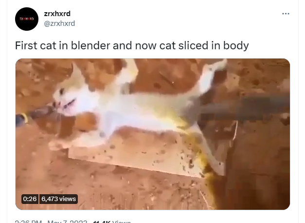ZSORTHOSOLUTION's tweet photo. @elonmusk This is a person who abuses cats in China, the methods they are promoting  to abuse cats are extremely violent! Please block this person and all subscribers! They are all potential criminals! https://t.co/x85xTspFml
