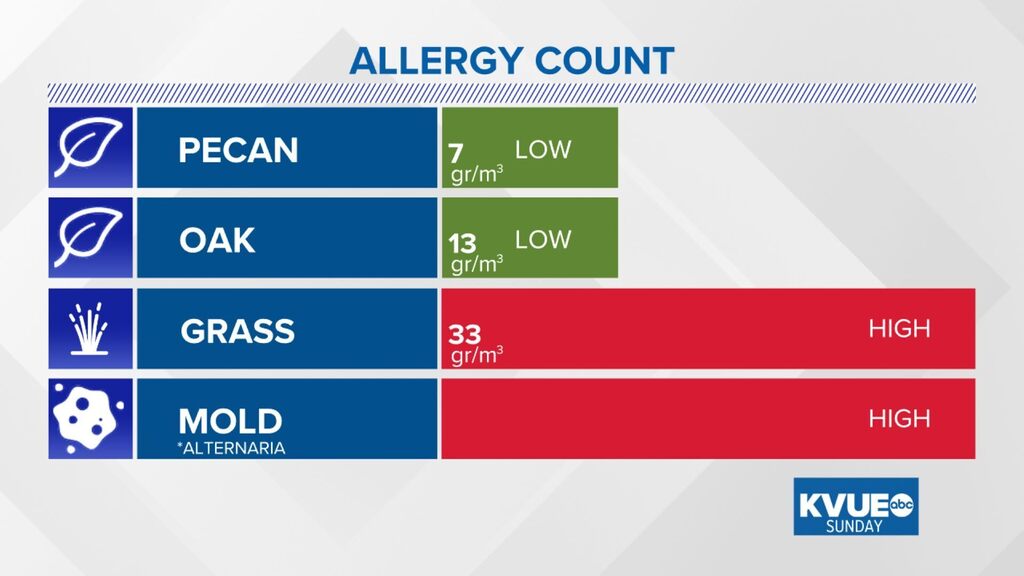 Austin Allergies tweet media
