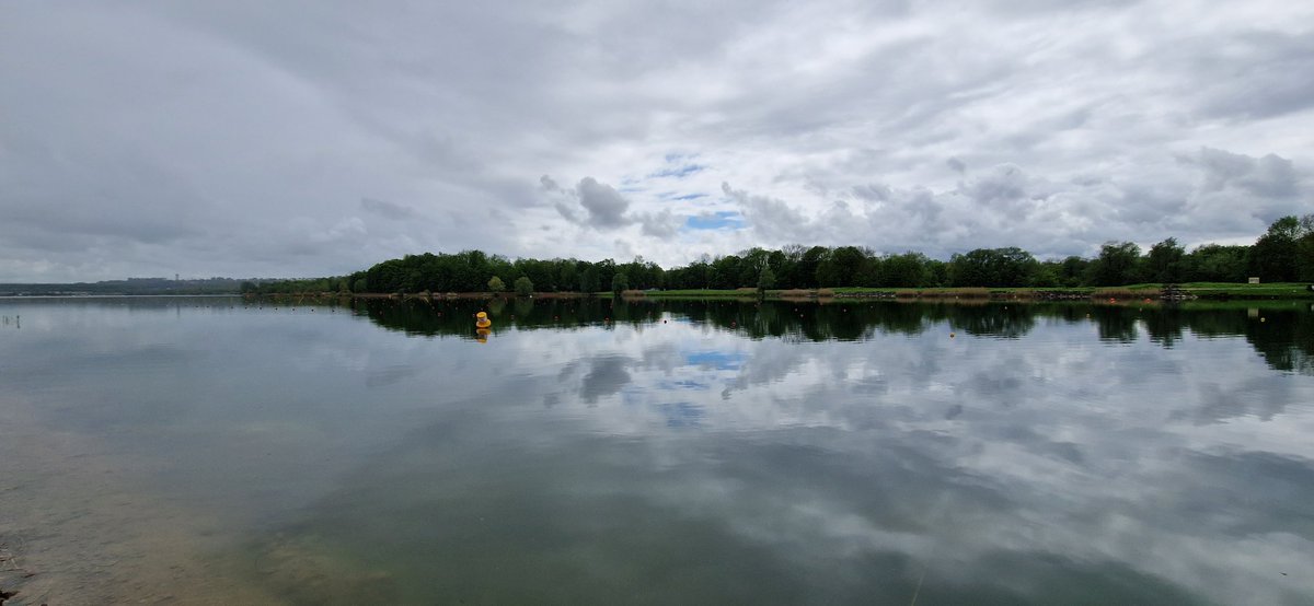 Frédéric Angeli ⚡️ tweet media