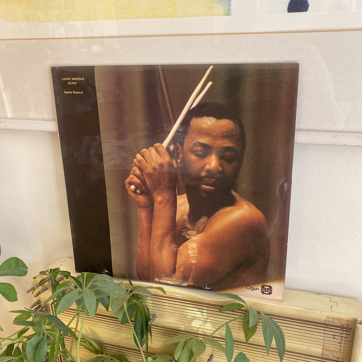 rhizome_in_'s tweet photo. Making curry and listening to Louis Moholo. Windows are open. #NowPlaying️ https://t.co/gNDGDjc3Ti