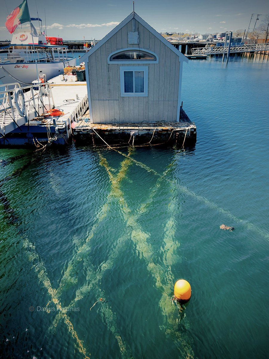 dariusaniunas's tweet photo. I have a newfound respect for the power of knots 🪢 after seeing how underwater ropes can keep an entire house from drifting away #SailorSkills 
Provincetown Harbor. #capecod #house #provincetown https://t.co/WXskGebHYO