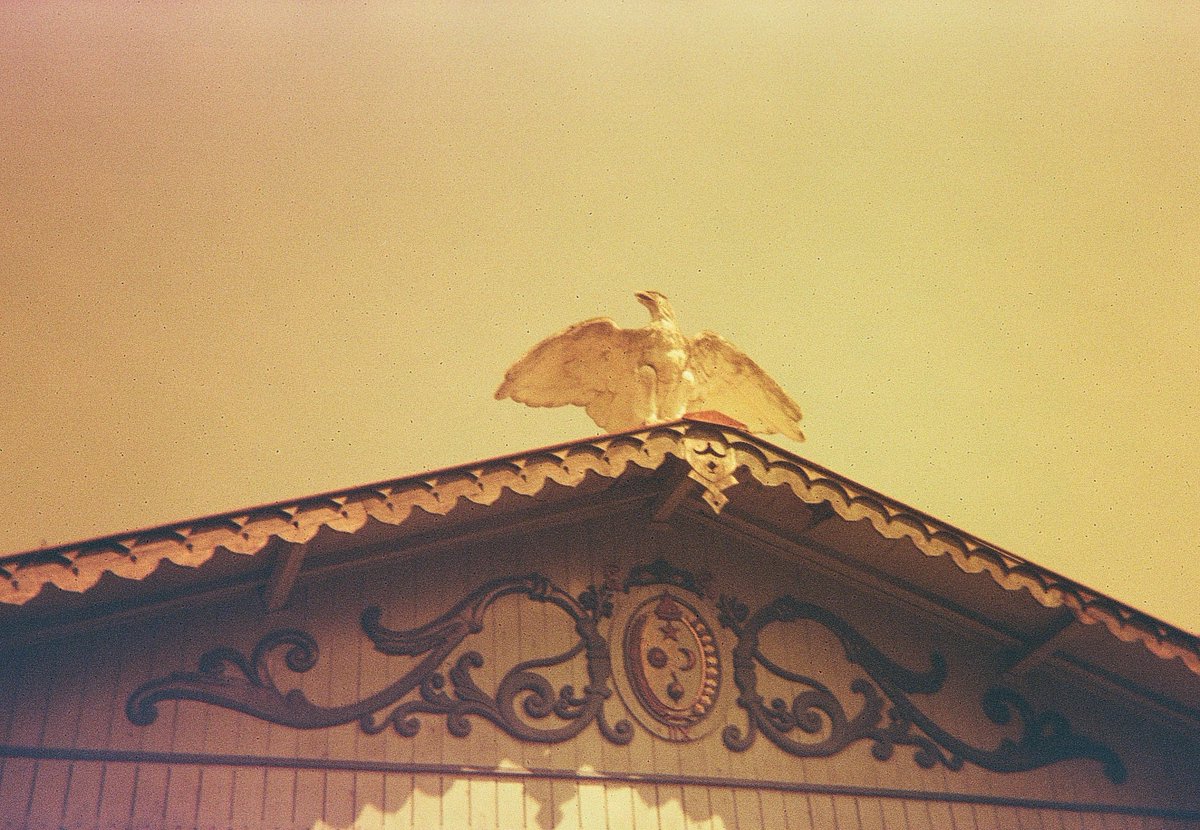 nuo2x2's tweet photo. feeling kinda comfort eagle based on today's event experiences, hahahahah! #filmphotography #ishootfilm #filmisnotdead #prima35 #toycam #plasticlens #filmcamera #streetphotography #traditional @hipercatlab 's ginger, #expiredbutshot #redscale #nuo2x2 #nuo2x2toycam #eagle https://t.co/6mu1qWtco5