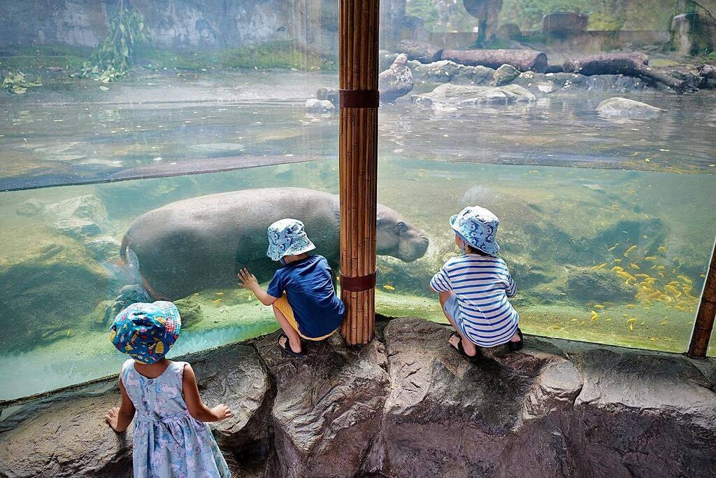 vinowong's tweet photo. All creatures are great and small. #zoo #singaporezoo #leicaq2reporter #leica_photos #leicacamera #leicastoremy #leica #myleicajourney #leica_world
#streetphotographer #streetphotography #leicacamerausa #leicaQ2 #LFIblog #leica_camera #LeicaEDC #leicas… https://t.co/3EKyj7BLGR https://t.co/xrk0mJHH8H