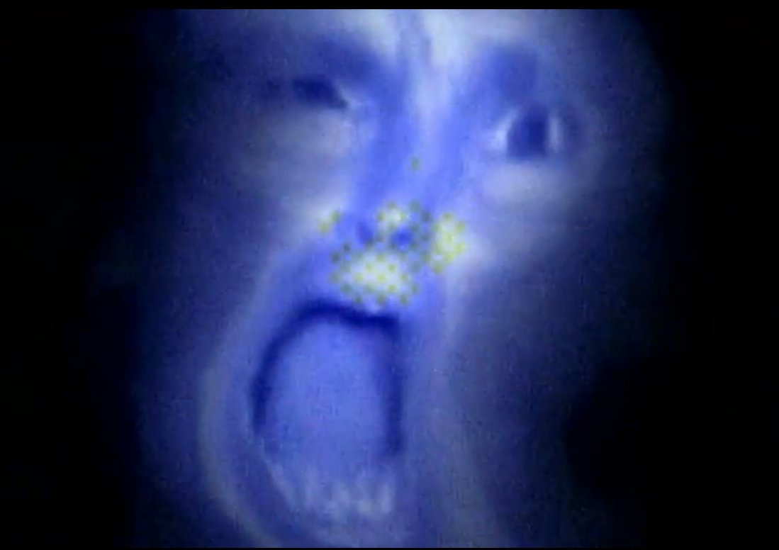 Good Faces (@good_faces_bot) on Twitter photo 