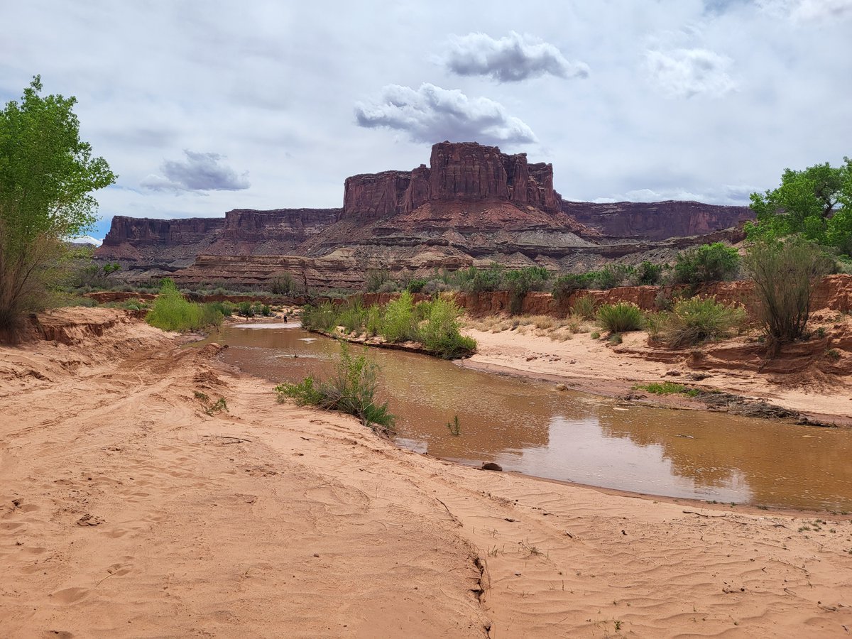 CanyonlandsNPS's tweet photo. For those with upcoming permits for the White Rim Road keep a close eye on the water levels of the Green River along Mineral Bottom Road!
https://t.co/Si15mp04Jp
https://t.co/2j4EfU8MHA
#PlanLikeARanger #KnowBeforeYouGo #SafetyFirst #SpringSnowMelt https://t.co/lmT2JRXdb1
