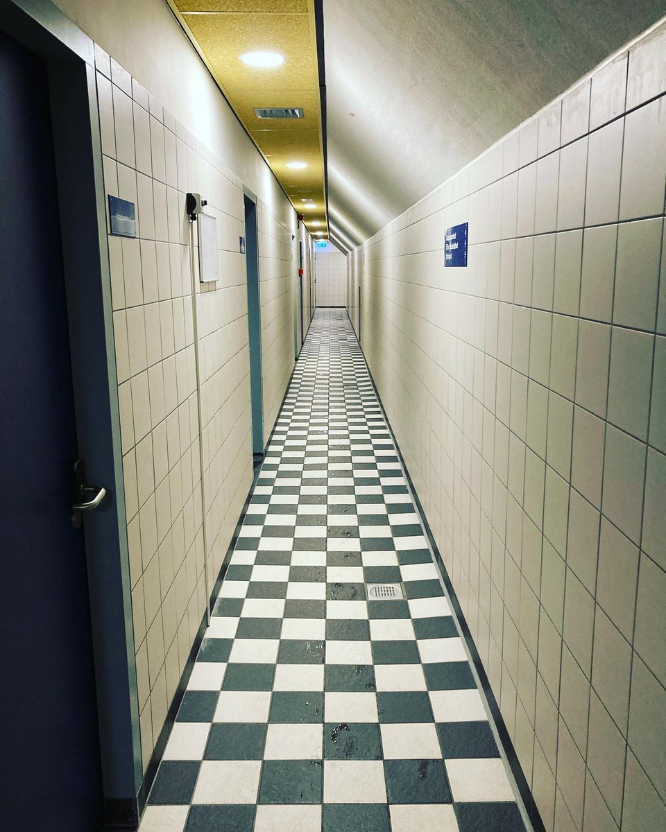 timmuellerde's tweet photo. Sunday morning walkway.
#run #runner #running #marathon #trailrun #ultrarunning #cycling #swimming #ironman #ironmantraining #triathlon #triathlonlife #racing #fitness #fitnessmotivation #flexivegan #vegan #meditation #nl #amsterdam #sloterparkbad https://t.co/U13qM1kjOB