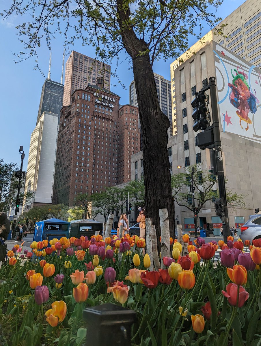 Excited to be in beautiful Chicago for #DDW2023 !