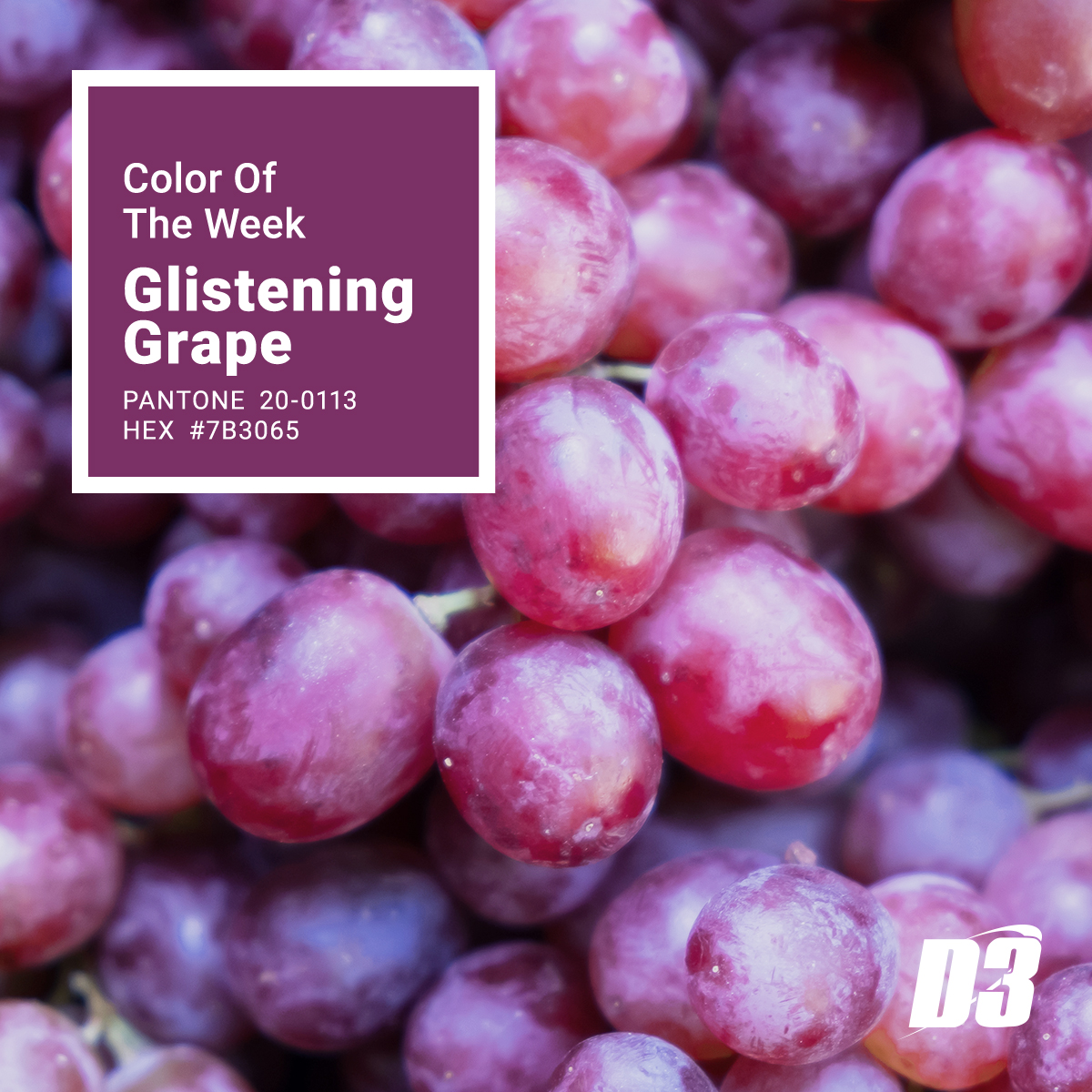 d3Inc_'s tweet image. Enjoy a zing of color with Glistening Grape, this weeks&apos; color pick! #pantone #d3-inc #coloroftheweek