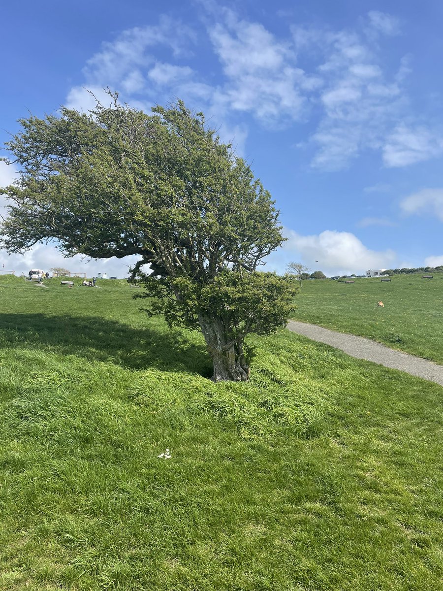 farmernade's tweet photo. Sometimes the South West can seem miles from the rest of the UK and sometimes that’s the perfect feel needed. #markingbreak #jennycliff #lovewhereilive #icecream #happyplace #historyteacher https://t.co/Cfz0mcW8Fj