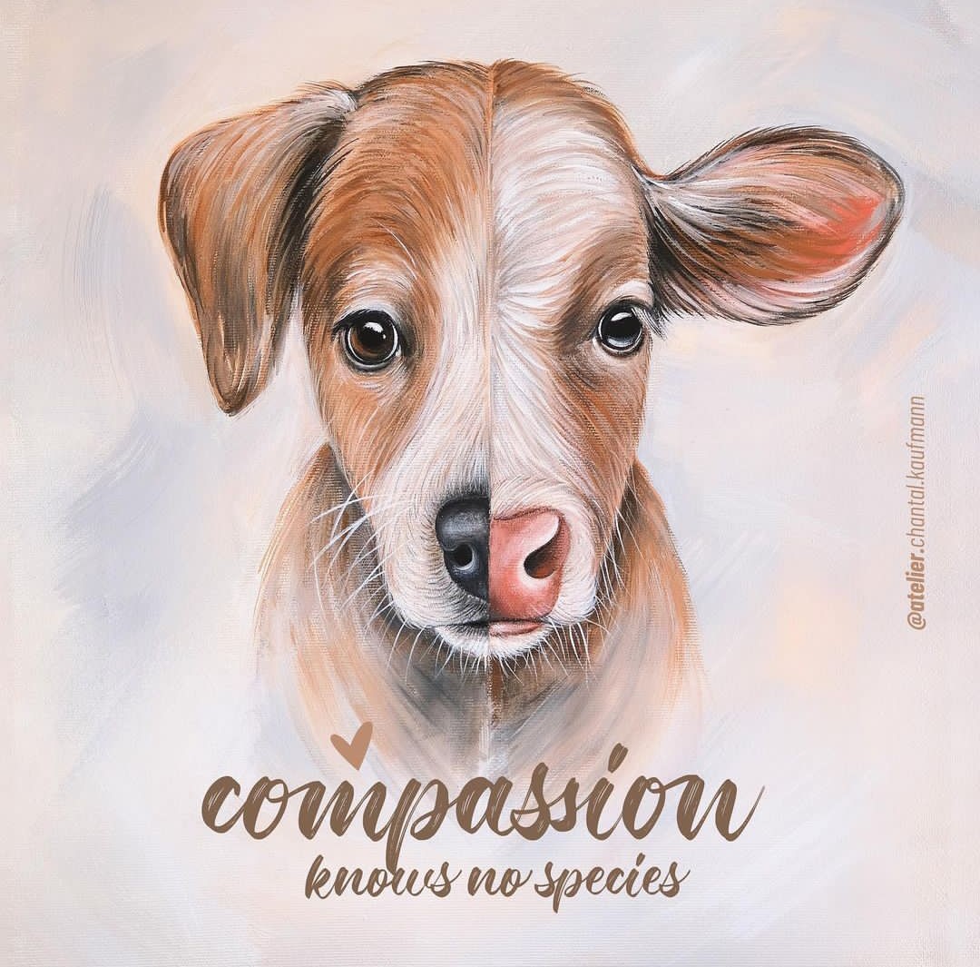 Servegan0's tweet photo. La compasión no conoce especie.

#vegan #amigosnocomida #animales #justicia https://t.co/CYHs58Vpqi