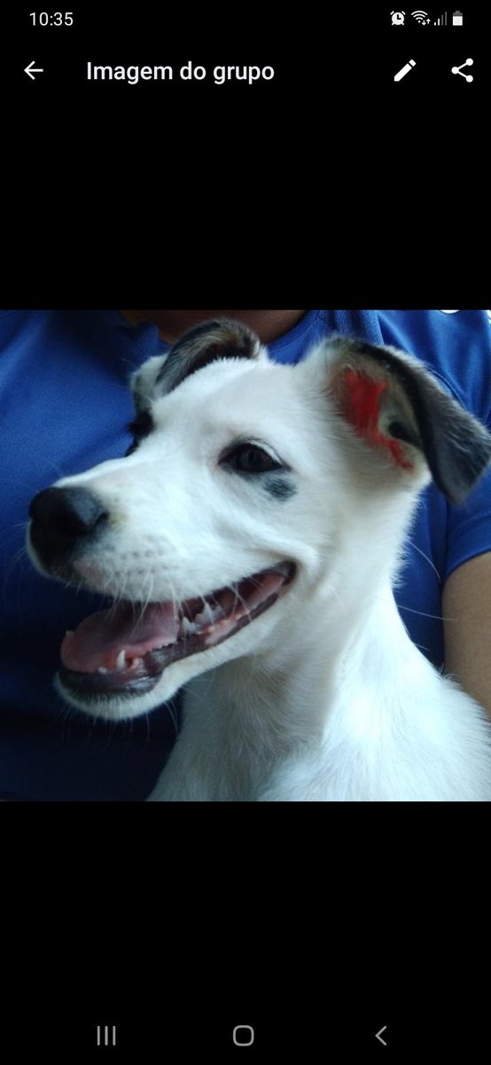 geisongf's tweet photo. Vontade de levar a kiara pra passear na praça... https://t.co/h7Ywd0oxjw