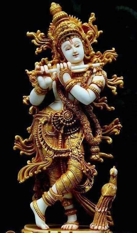nilesh_blc's tweet photo. जय श्री कृष्णा 🌺🌹🙏
@KrChoud42412520 https://t.co/uHJcVg6z3F