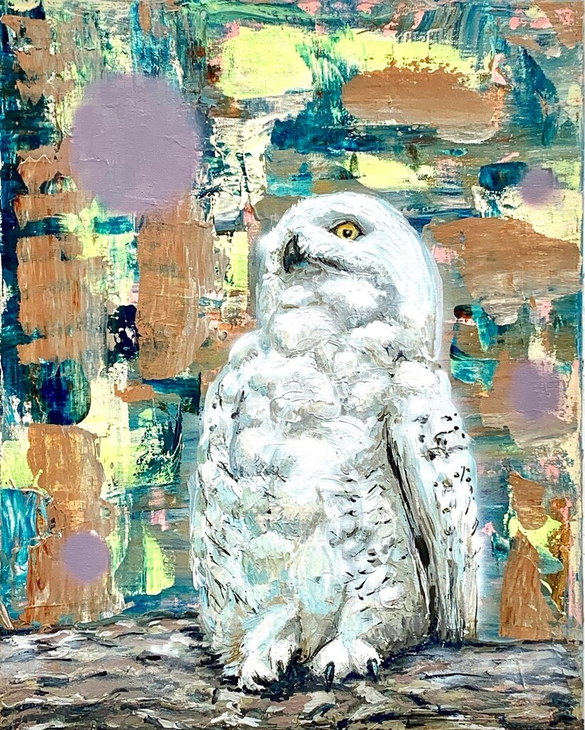 Apprehensive snowy owl
Acrylic on canvas
16'x24'
2019
etsy.me/3Yr03Yh
(or link in bio)

#art #owlart #birdart #acrylicpainting #acrylicpaintings #painting #contemporarypainting #manitobart #BuyIntoArt #contemporarypaint instagr.am/p/Cr8jf5dJssr/