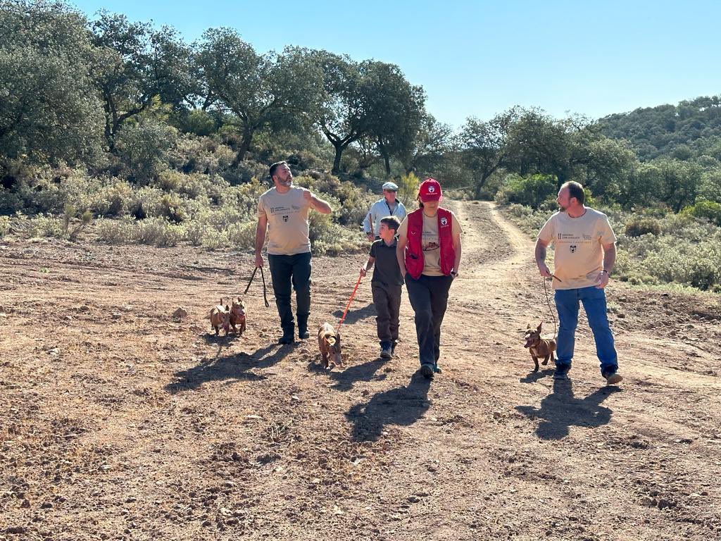 andaluciacaza's tweet photo. Día grande hoy de convivencia y homenaje en el II Memorial de la Copa Andalucia de Podenco Andaluz y Maneto. Un total de 30 perros han sido galardonados por la Federación, los ganadores de las últimas cinco ediciones de esta competición. 

Gracias por este día para el recuerdo ☺️ https://t.co/4QHQCQe96X