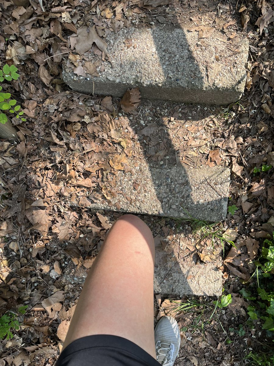 Sararunning's tweet photo. Corsetta bestiale per il caldo…orario infelice ma non avevo altra scelta oggi e quindi via…sauna assicurata😅 però un bel percorso vario seppur breve tra lungolago, giri al parco con salita e sterrato😉 buona domenica #runningmum #hotrun #nevergiveup https://t.co/YspxM2fOal