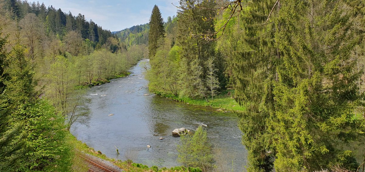 Domifreude's tweet photo. Was für ein toller Tag in #BayerischKanada
#BayerischKanada #BayerischerWald
#Ausflug
#Wandern
#Waldbahn https://t.co/Qd0PrFzGKG