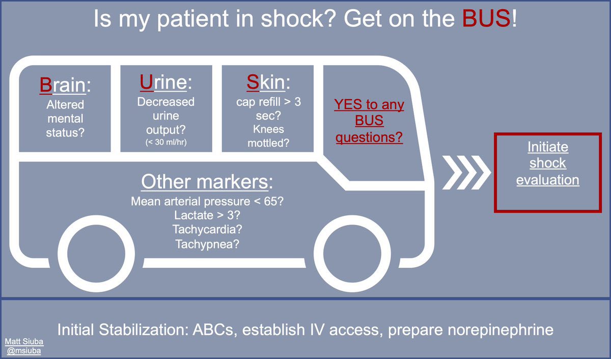 BrownJHM's tweet photo. Is my patient in shock? Get on the BUS! @msiuba #medtwitter https://t.co/N5YW6WmNjc