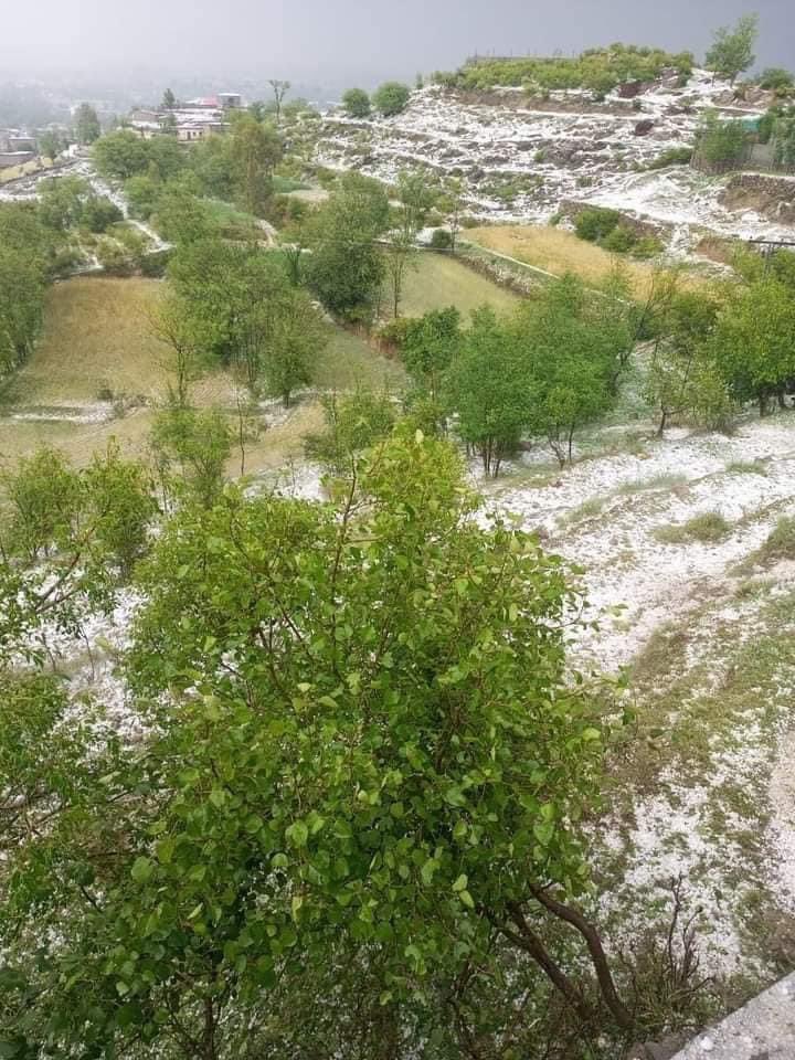 makbajaur's tweet photo. 😢
#باجوڑ_کو_آفت_زدہ_قرار_دیا_جائے https://t.co/7CWNUZAFWW