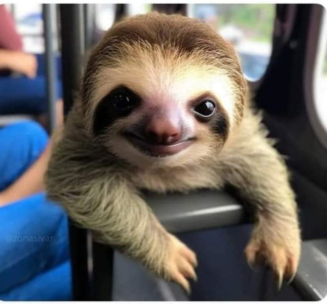 pizarraytiza's tweet photo. Cuando se acercan a la mesa y se dan cuenta que el examen que estás corrigiendo es el suyo. https://t.co/SkAYaZf07L