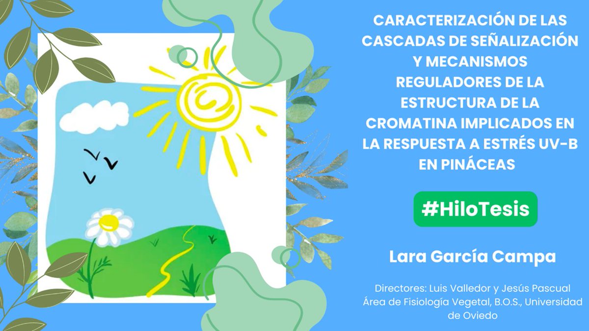 LaraGarciaCampa's tweet photo. 🌞🌱¿CUÁL ES LA “CREMA SOLAR” DE LAS PLANTAS? 🌱🌞 Quizás nunca lo hayas pensado, pero la comunidad científica sí y hoy te lo voy a contar gracias a mi Tesis Doctoral, ¡con juego final y texto ALT incluidos! @RedDivulga, @filarramendi, @UOdivulga, @uniovi_info.

Abro #HiloTesis👇 https://t.co/aAmpWZdRau