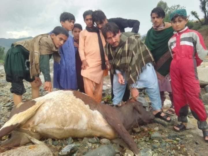 makbajaur's tweet photo. بس یہی کل محنت تھی۔۔
#باجوڑ_کو_آفت_زدہ_قرار_دیا_جائے https://t.co/kEnDa07neO
