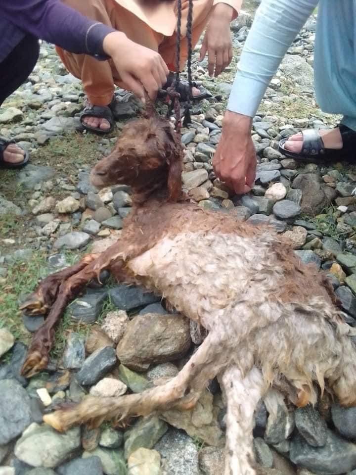 makbajaur's tweet photo. رویا نہیں جاتا سمجھ نہیں ارہی زندگی اگے کیسے  جاری رکھ پائنگے۔۔
#باجوڑ_کو_آفت_زدہ_قرار_دیا_جائے https://t.co/i54EgrbvP9