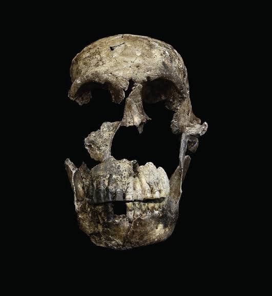 LeeRberger's tweet photo. Big news about #Homonaledi coming June 5th! Watch you news feed #neverstopexploring! https://t.co/BEMS9dP7Yf