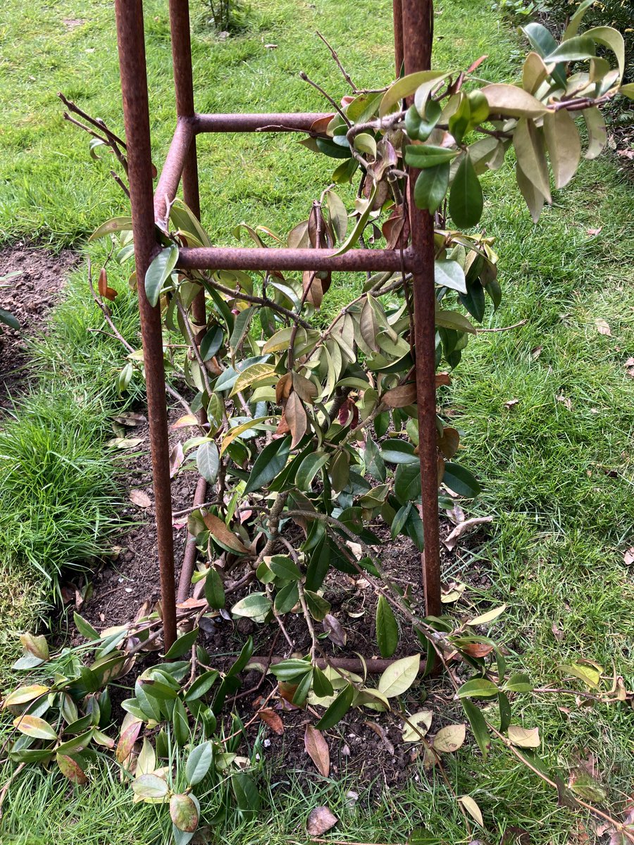 Mike Liggins tweet media