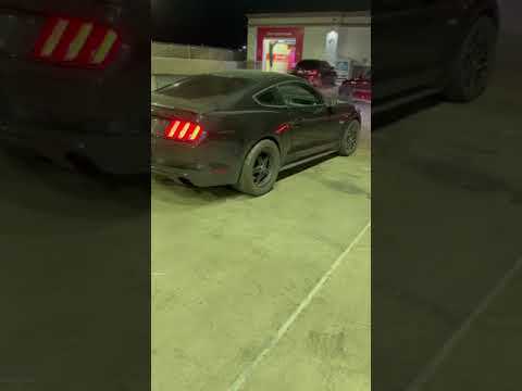 MafiaAuto's tweet photo. https://t.co/vMiU5fZyZ3 Join this channel to get access to perks:
https://t.co/MPzgP73RjH

Buy Your Performance Parts From the Mafia: https://t.co/kjFaALf7Bb

Facebook: https://t.co/f7upkPbwj7
Instagram: https://t.co/AOnWEL63St

We use YouTube Buddy to help our Channel: … https://t.co/IfkYqpZb9p