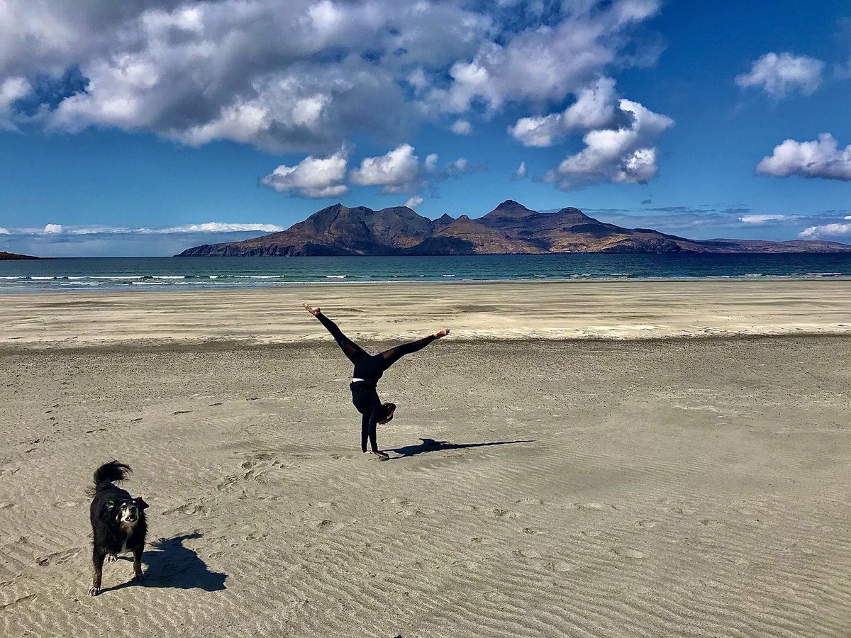 Sulidae/Bobby tweet media