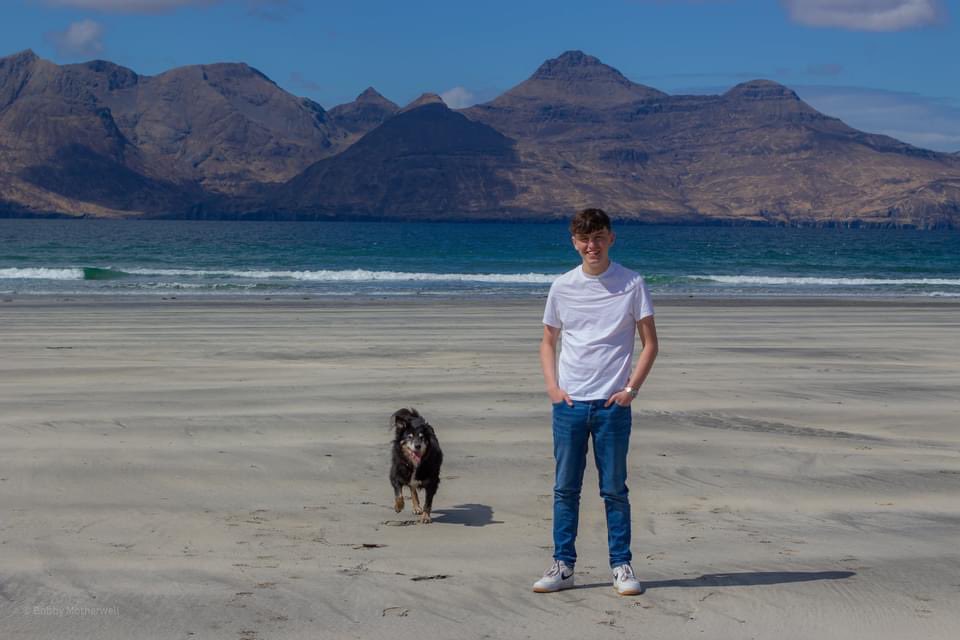 Sulidae/Bobby tweet media