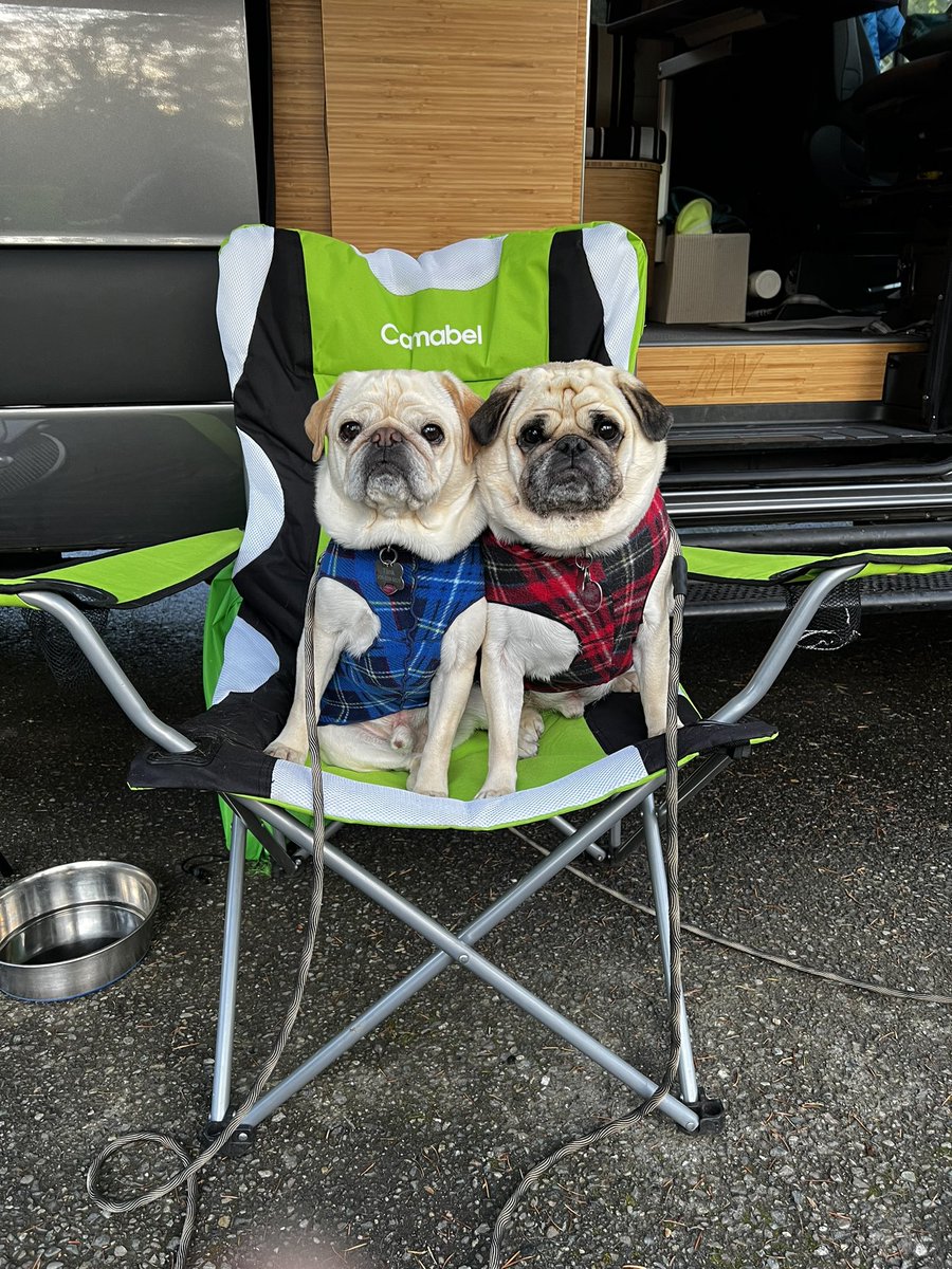 WSeattleSteph's tweet photo. Weekend #sheVANigans https://t.co/qk1ZPPmFc2