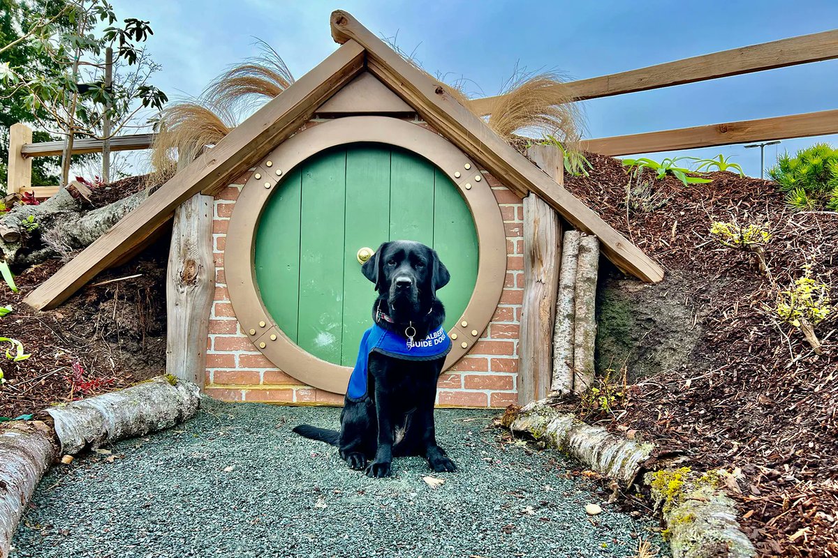 Alberta Guide Dogs tweet media