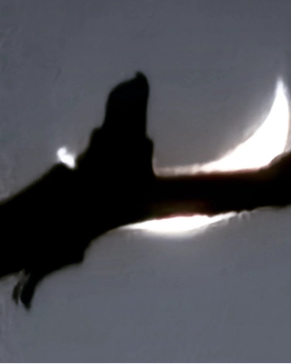 젊은이의 지식이 지혜에 닿지 않은 채 나이 듦에 경계해야 하겠다. 거름과 오물은 다르면서 같다. 필요한 곳에 필요 이상의 것이 쌓이지 않도록 해야 한다. 지식의 사다리는 빨리 올라갈 수 있게 해주고, 지혜의 사다리는 안전하게 내려갈 수 있게 해준다.