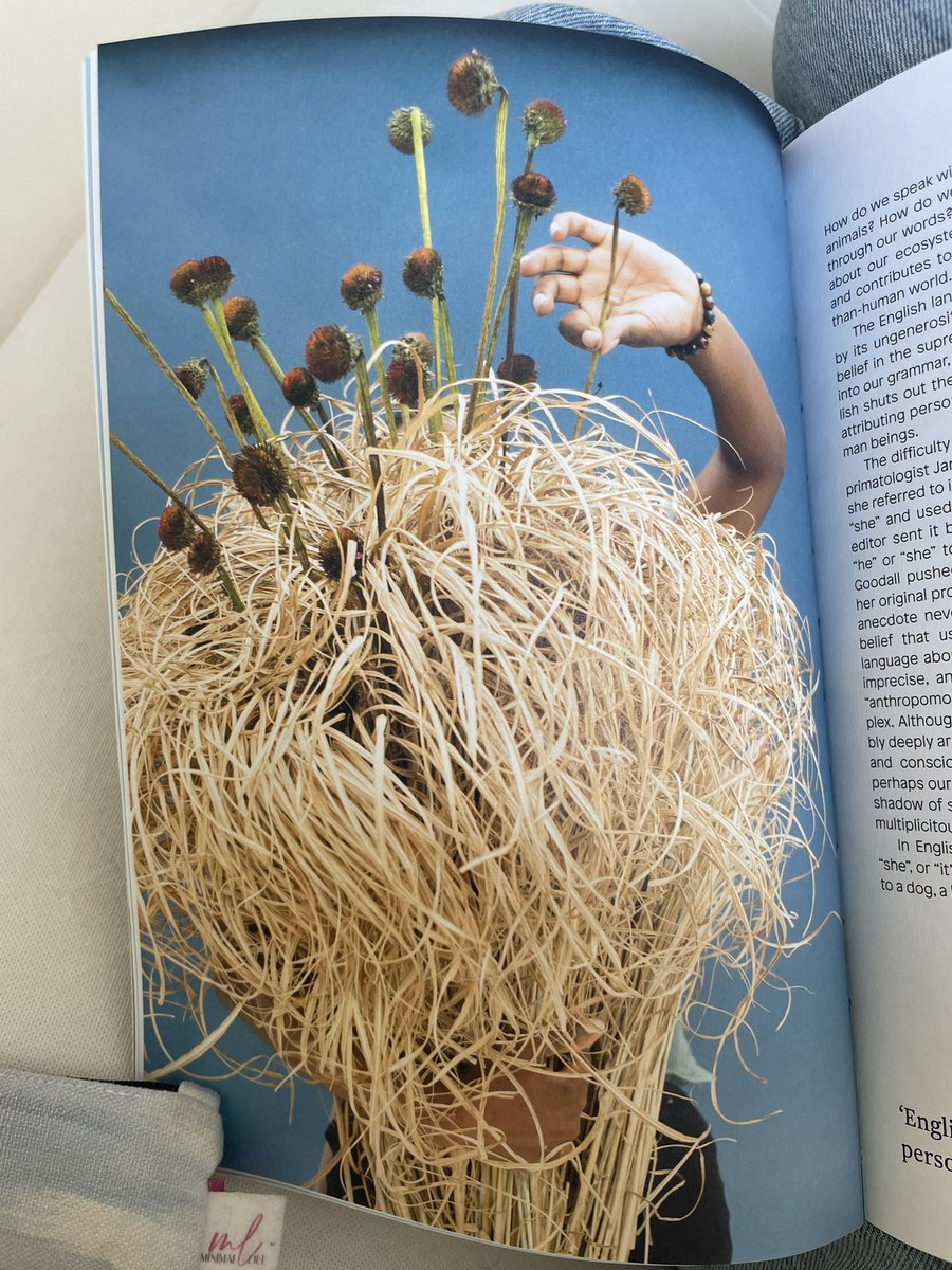 aqueraltf's tweet image. Inspiring Sunday reading: @wtlfmag #7 ‘The Grammar of Being’ by @AnnaSouter , Thomas Broadhead and @WillHearle @Alicemccabe3 “language is both cause and effect of our relationship w our ecosystem”.
Makes me think of Irene Solà’s book &amp;amp; how my mother tongues are constructed🪻🌱🌝