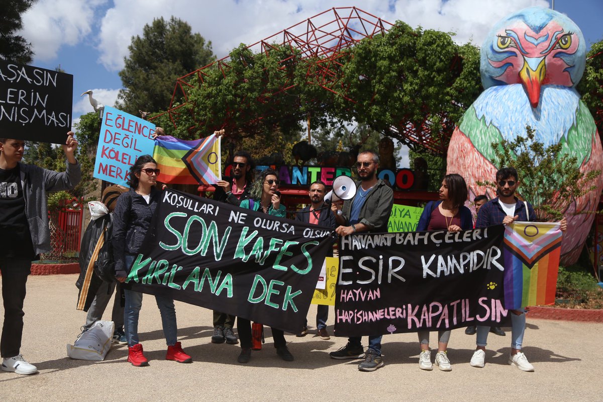 hakim_komite's tweet photo. Bugün, bileşeni olduğumuz Hayvanat Bahçesi Kapatılsın (@hayhapkap) platformundaki aktivistler Gaziantep Hayvanat Bahçesi önünde eylem düzenlediler, basın açıklaması okudular. https://t.co/cGkoKO9XfF