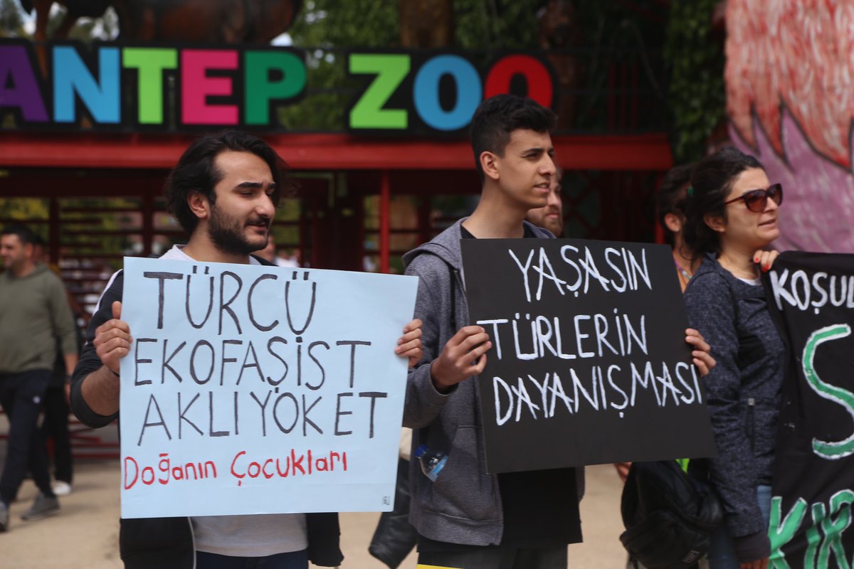 hakim_komite's tweet photo. + yapılmadığını, maymunların ve diğer hayvanların depresyonda olduğunu gözlemlemişler ve fotoğraflamışlardı. Bir sonraki gidişlerinde yılanın yerinde olmadığını görmüşlerdi. https://t.co/vWxCfSBqr6