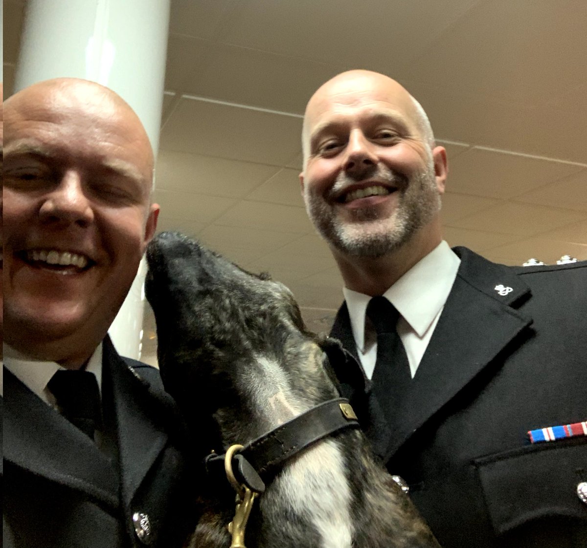 PD Cooper tweet media