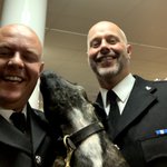 Photo by PD Cooper (@PoliceDogCooper)