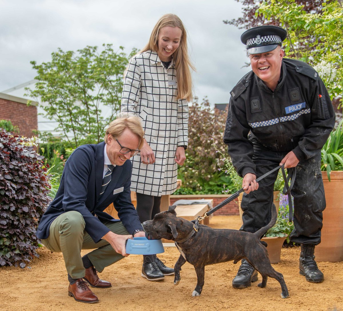 PD Cooper tweet media