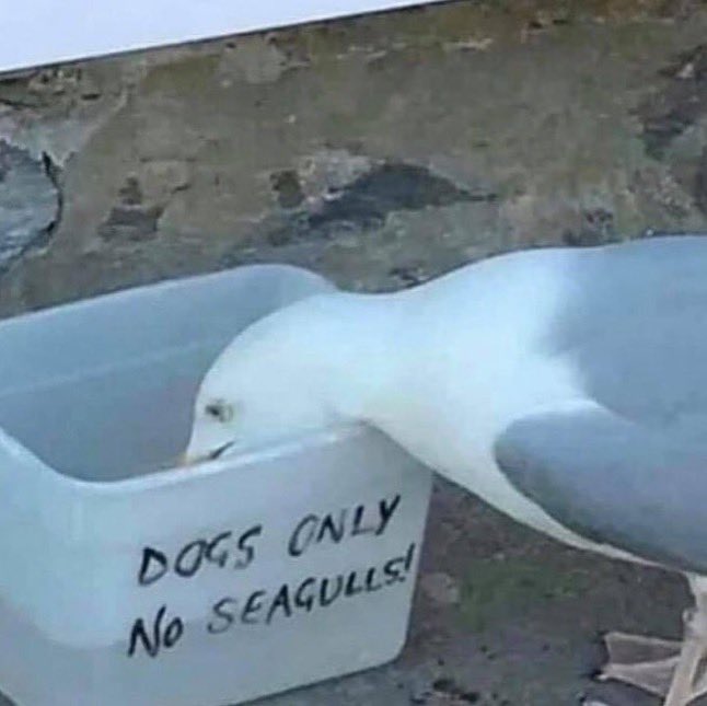 Become ungovernable.