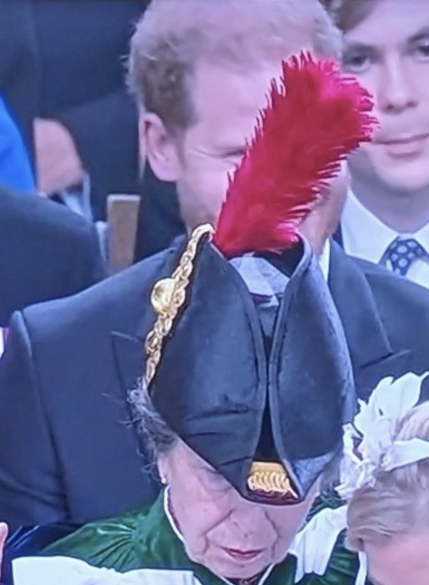 duchess_salty's tweet photo. @Dior Princess Anne deserves a medal for blocking this monster with her plume #feathergate #FeatherInTheWay #PrincessAnnesFeather https://t.co/3PF7V83GrF