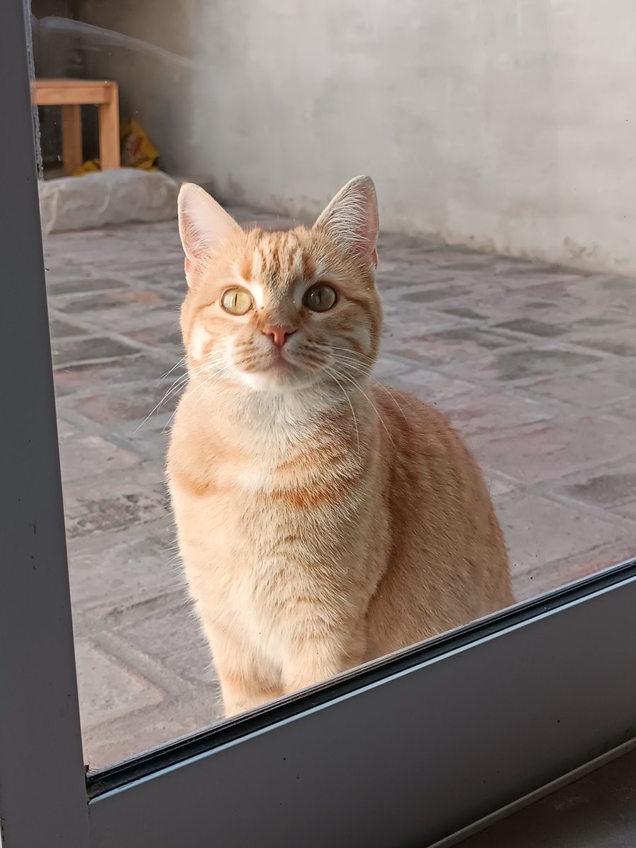 tina dina 🩷 tweet media