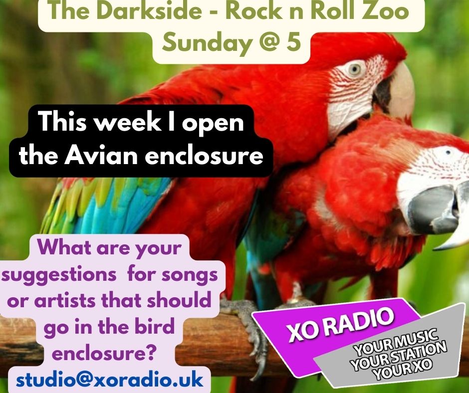 StewDennis's tweet photo. Today on #thedarkside on @wearexoradio I open the Avian enclosure on the Indie rock and roll zoo. Let me know your suggestions for songs/artists that could feature in the zoo on todays show. https://t.co/pzDKP9KgQA https://t.co/RfUwf4kkg6
