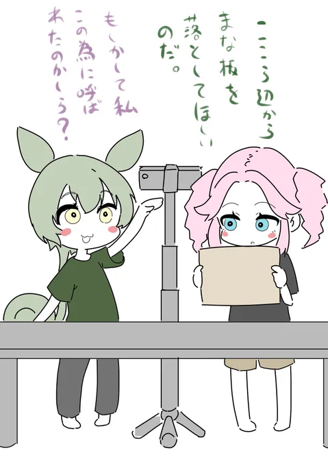 とある動画を撮影するずんめた